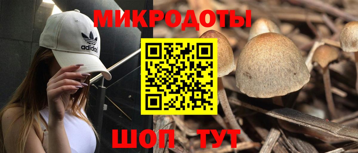 Псилоцибиновые грибы прущие грибы Миллерово